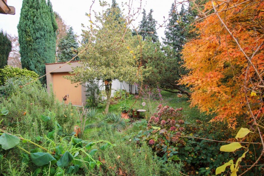 Garten Zweifamilienhaus Darmstadt