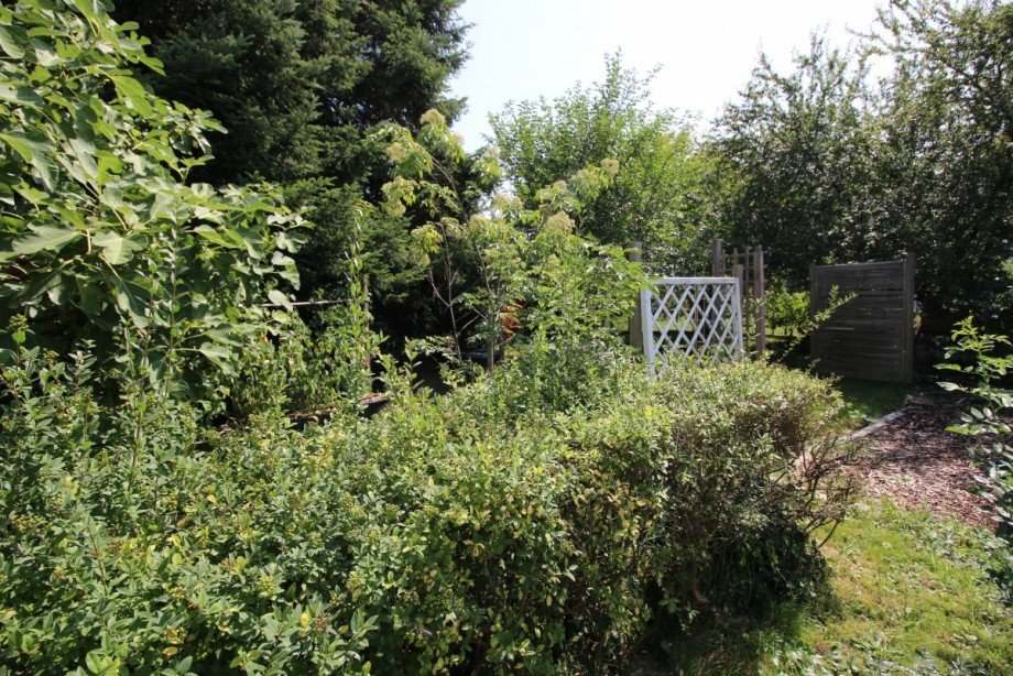 Garten - hinterer Teil Einfamilienhaus Dietzenbach